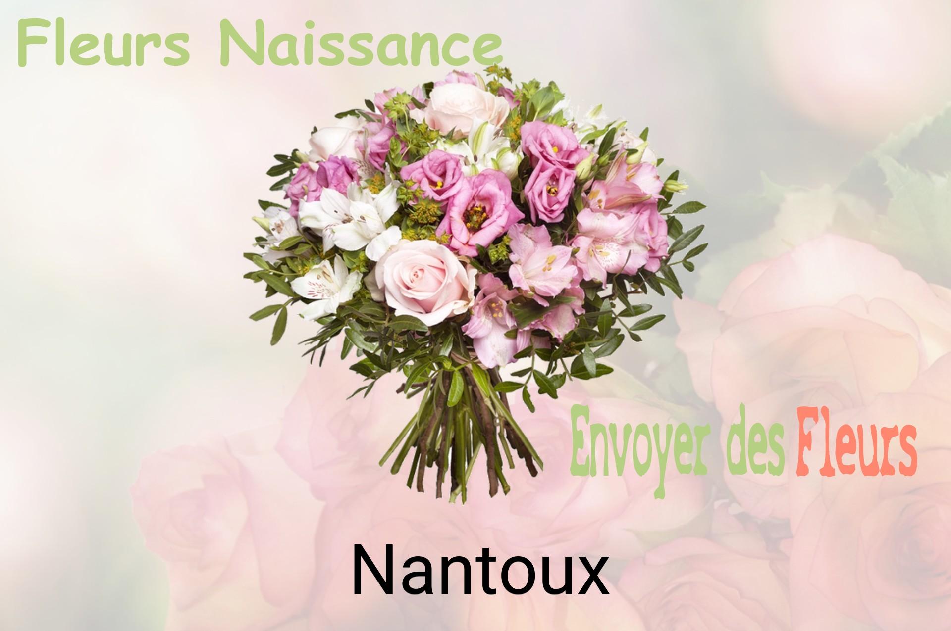 Bouquet de fleurs de naissance livré à Nantoux